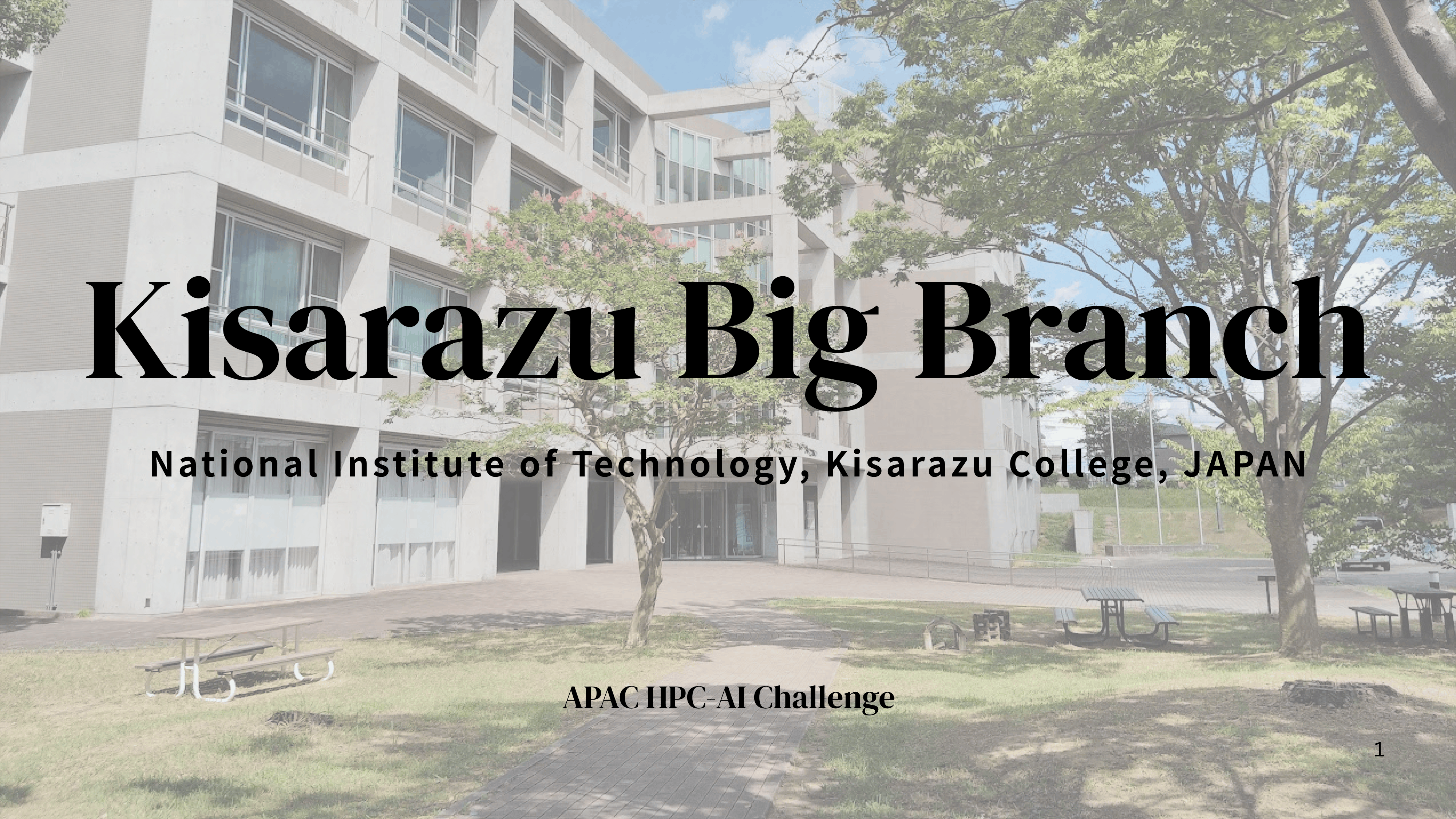 Kisarazu big branch 01 Kisarazu big branch 01